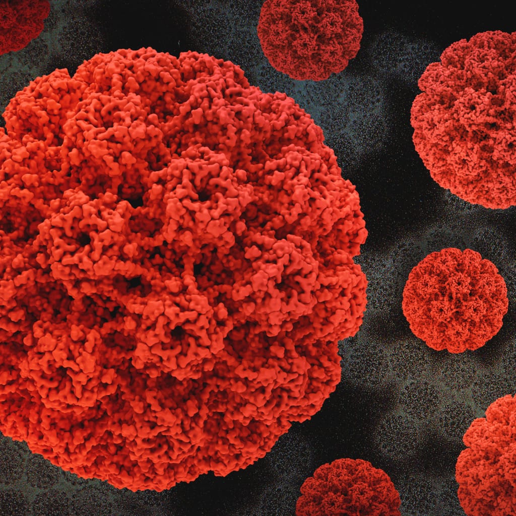 Virus del papiloma humano (VPH), causante de las verrugas vulgares
