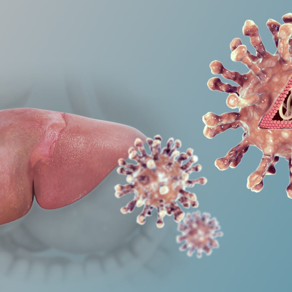 ilustración del virus de la hepatitis C y el hígado, infección asociada al liquen plano